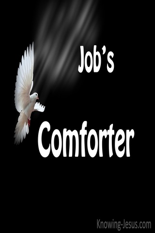 Job's Comforter (devotional)01-30 (black)